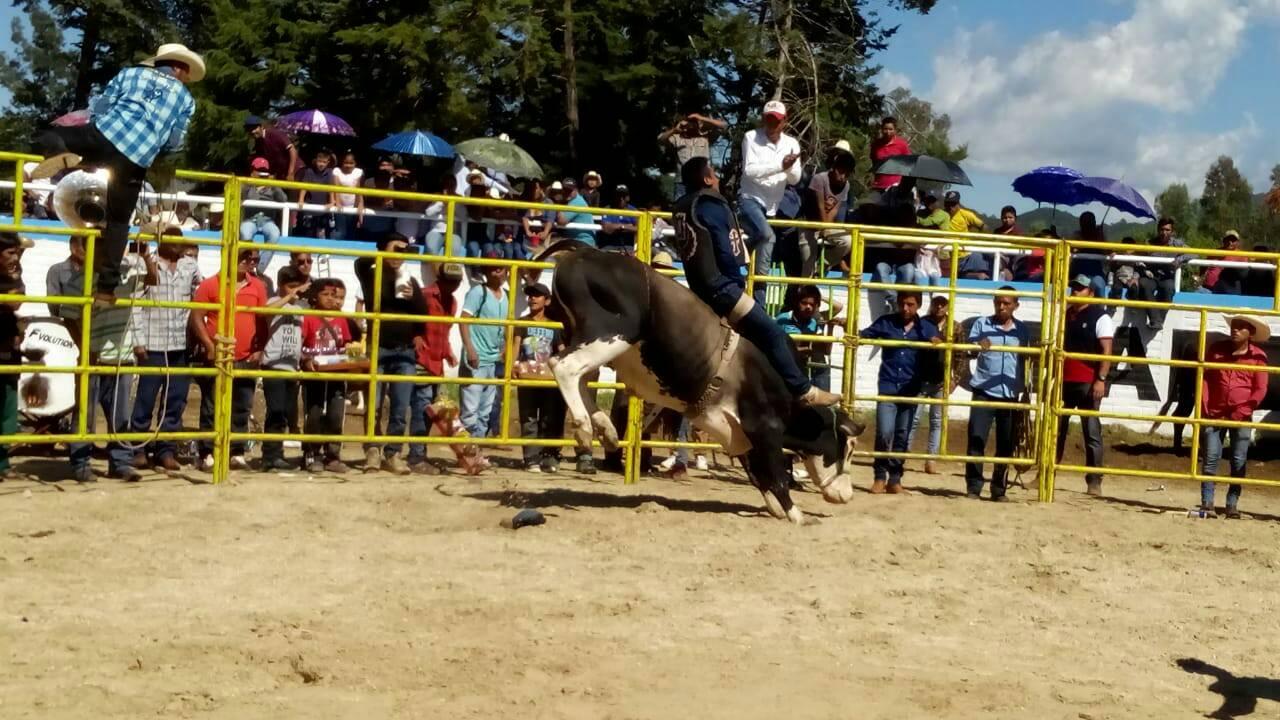 Jaripeo