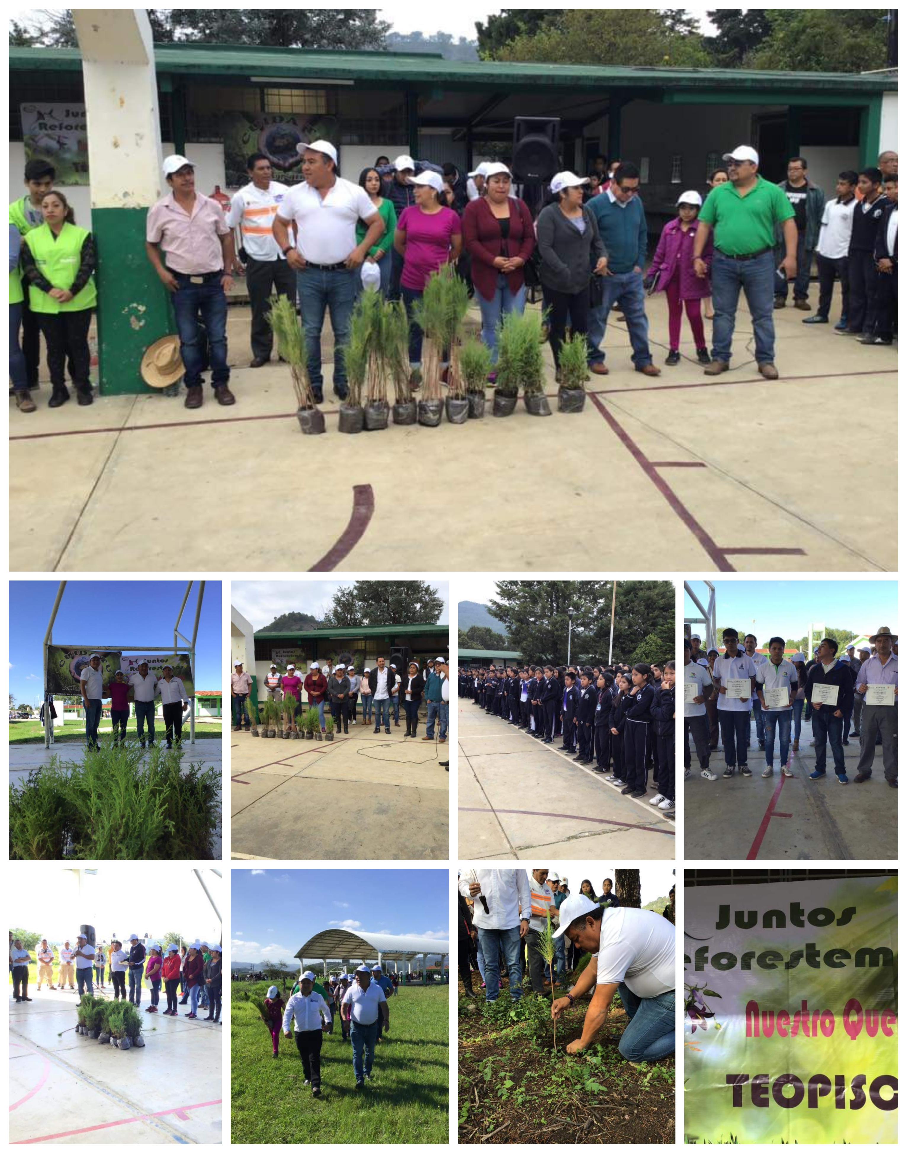 Fomento al Desarrollo Ambiental